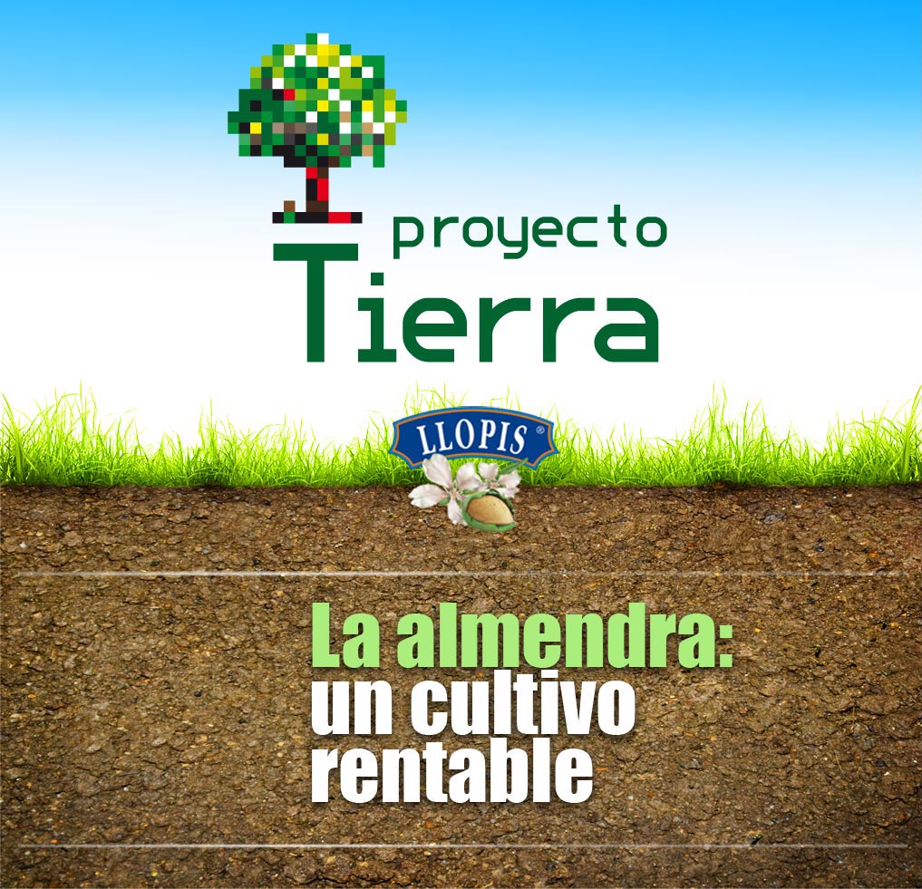 Proyecto Tierra presentación