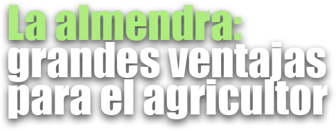 La almendra: un cultivo rentable
